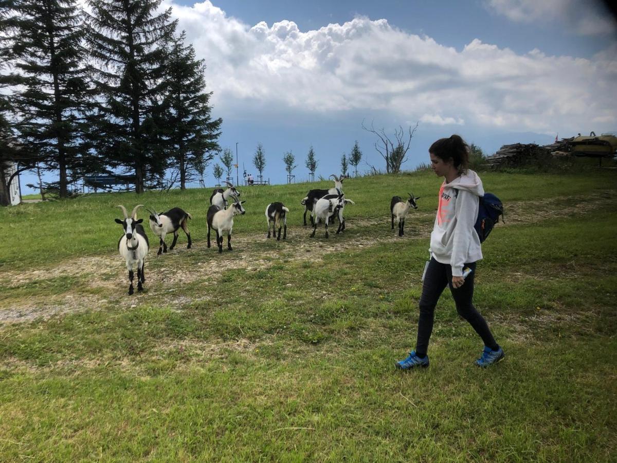 Ferienwohnungen Mit 4 Betten In Gersau Direkt Am Vierwaldstaettersee Exterior foto