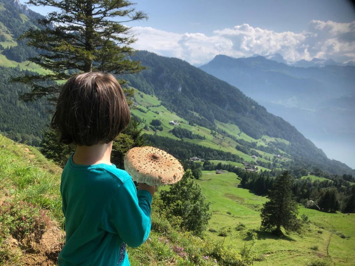 Ferienwohnungen Mit 4 Betten In Gersau Direkt Am Vierwaldstaettersee Exterior foto